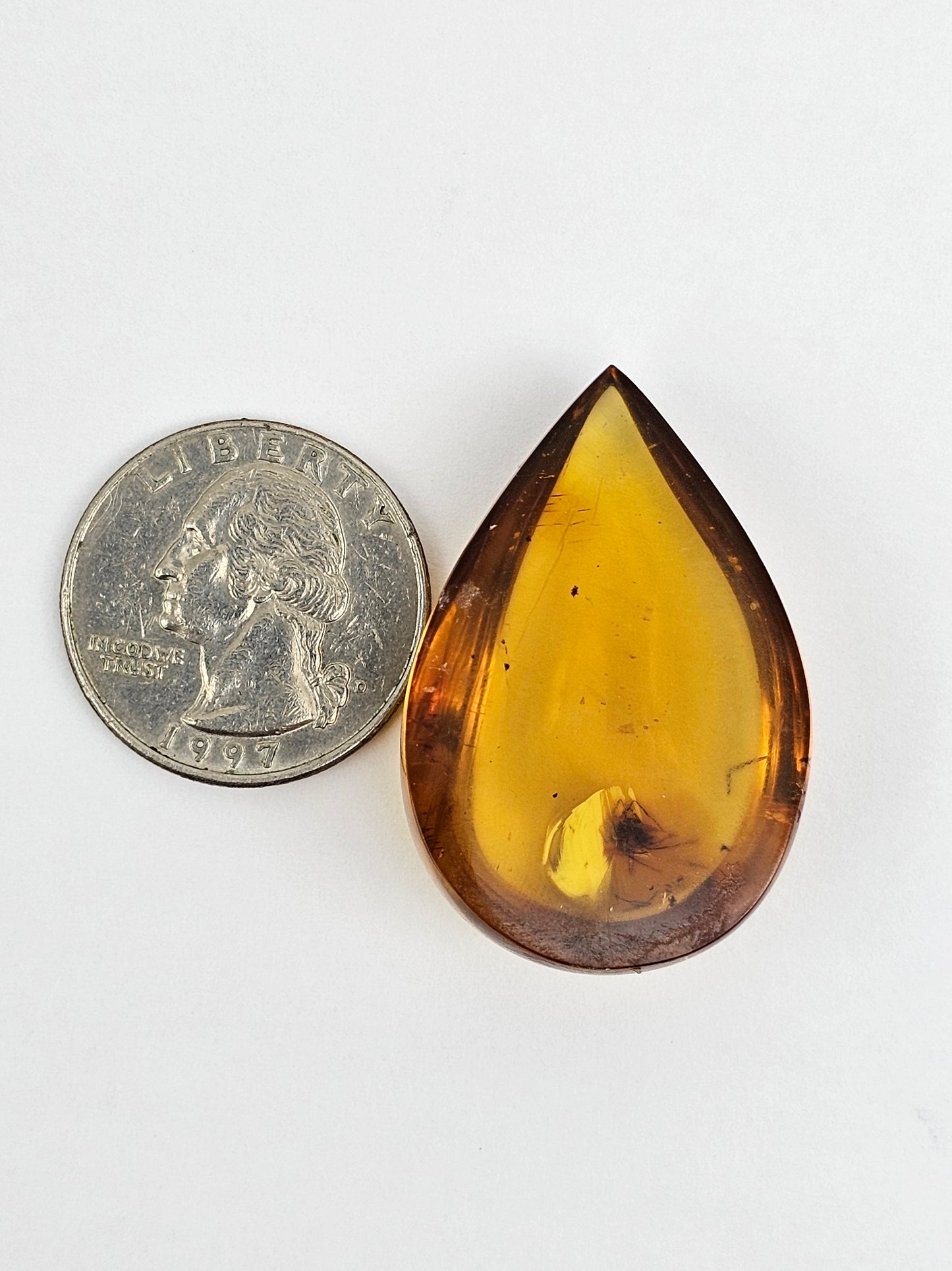 Amber Authentic Cabochon with Bug Inclusion