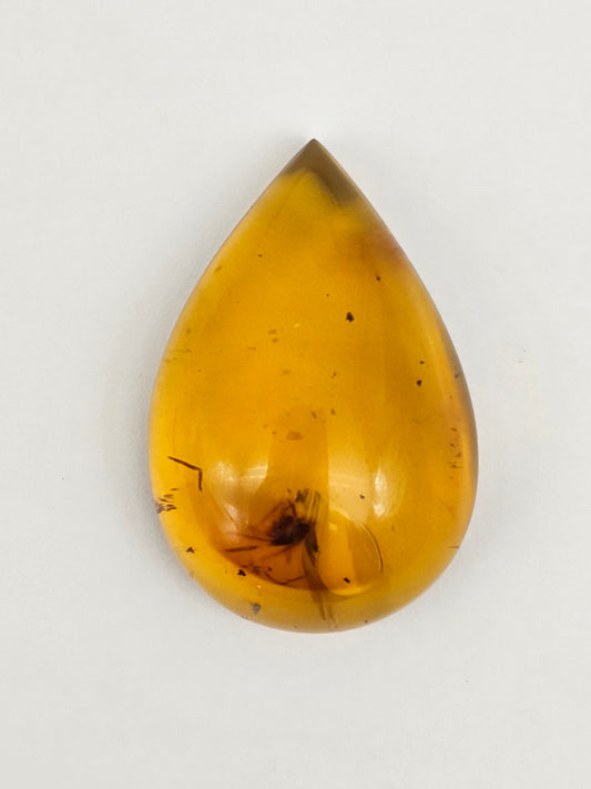 Amber Authentic Cabochon with Bug Inclusion