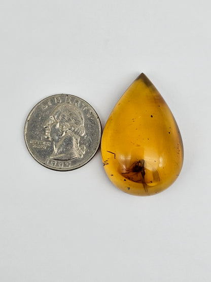 Amber Authentic Cabochon with Bug Inclusion