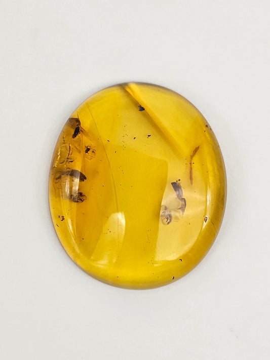 Amber Authentic Cabochon with Bug Inclusion