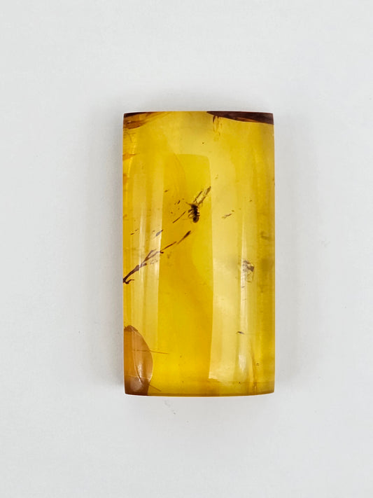 Amber Authentic Cabochon with Bug Inclusion