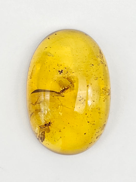 Amber Authentic Cabochon with Bug Inclusion