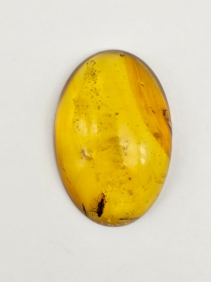 Amber Authentic Cabochon with Bug Inclusion