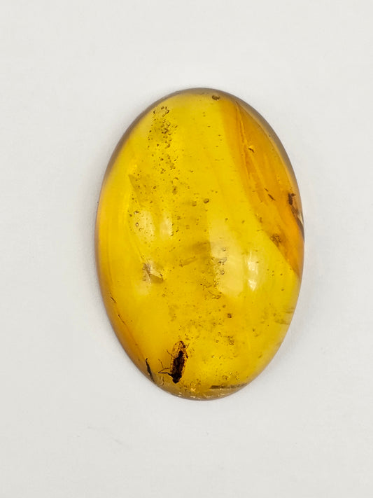Amber Authentic Cabochon with Bug Inclusion