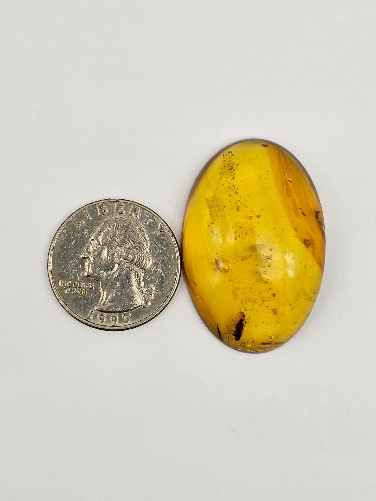 Amber Authentic Cabochon with Bug Inclusion