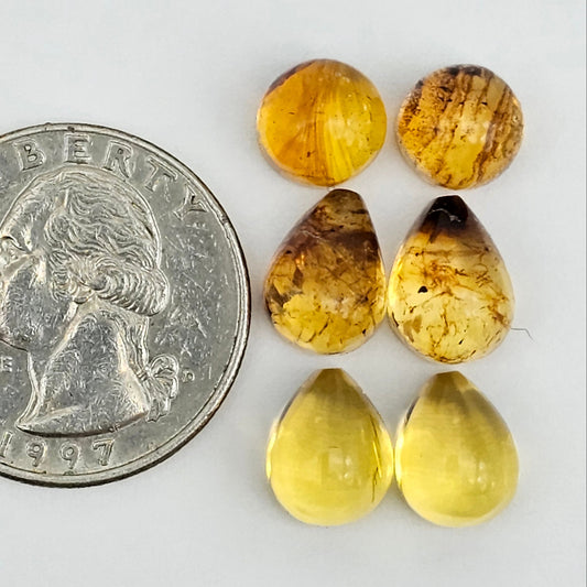 Amber authentic cabochon pair lot