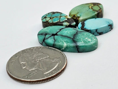 Cloud mountain Turquoise lot