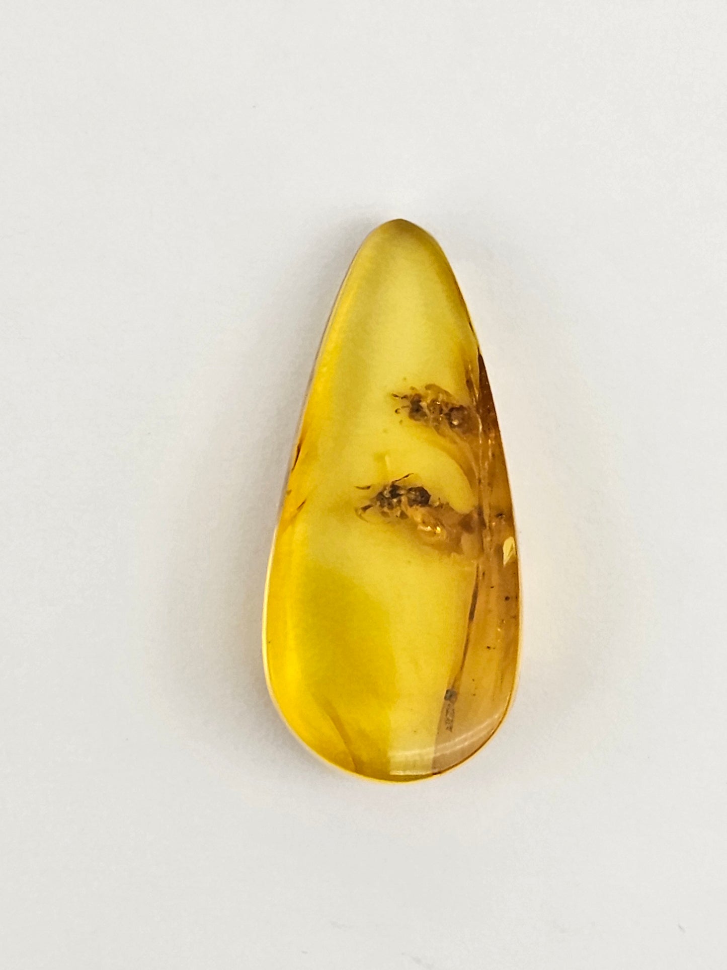 Amber Authentic Cabochon with Bug Inclusion