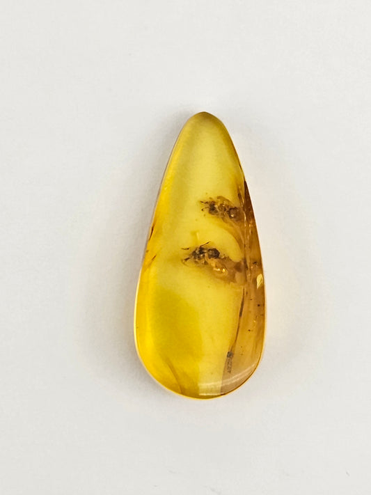 Amber Authentic Cabochon with Bug Inclusion