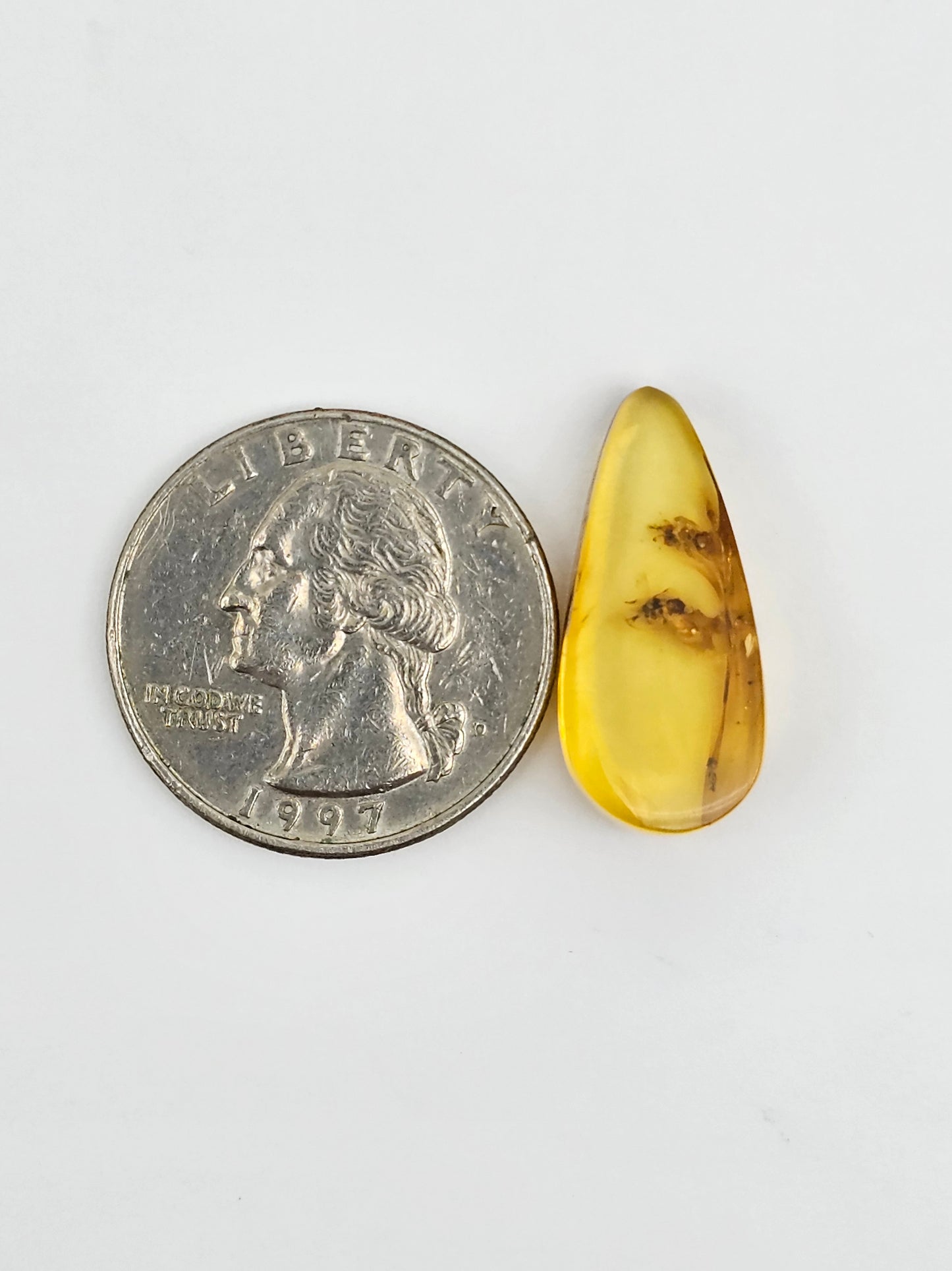 Amber Authentic Cabochon with Bug Inclusion