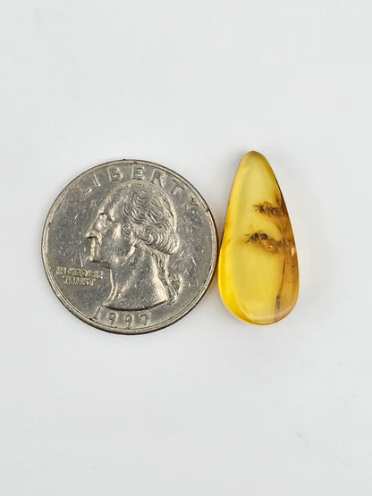 Amber Authentic Cabochon with Bug Inclusion