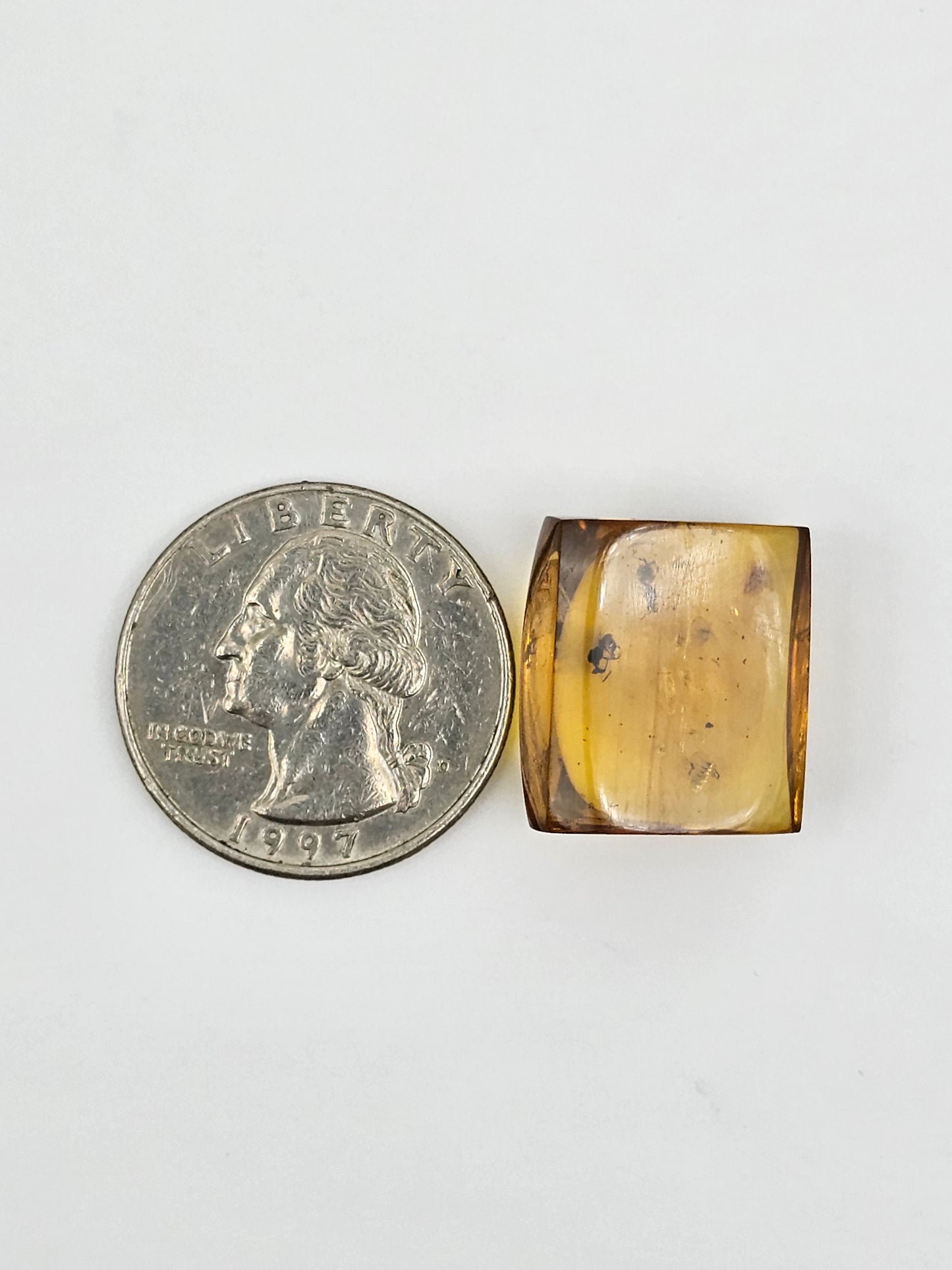 Amber Authentic Cabochon with Bug Inclusion