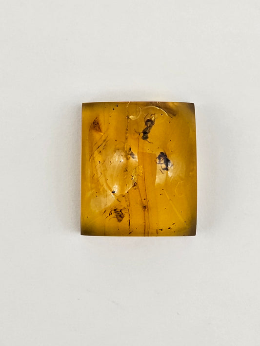 Amber Authentic Cabochon with Bug Inclusion