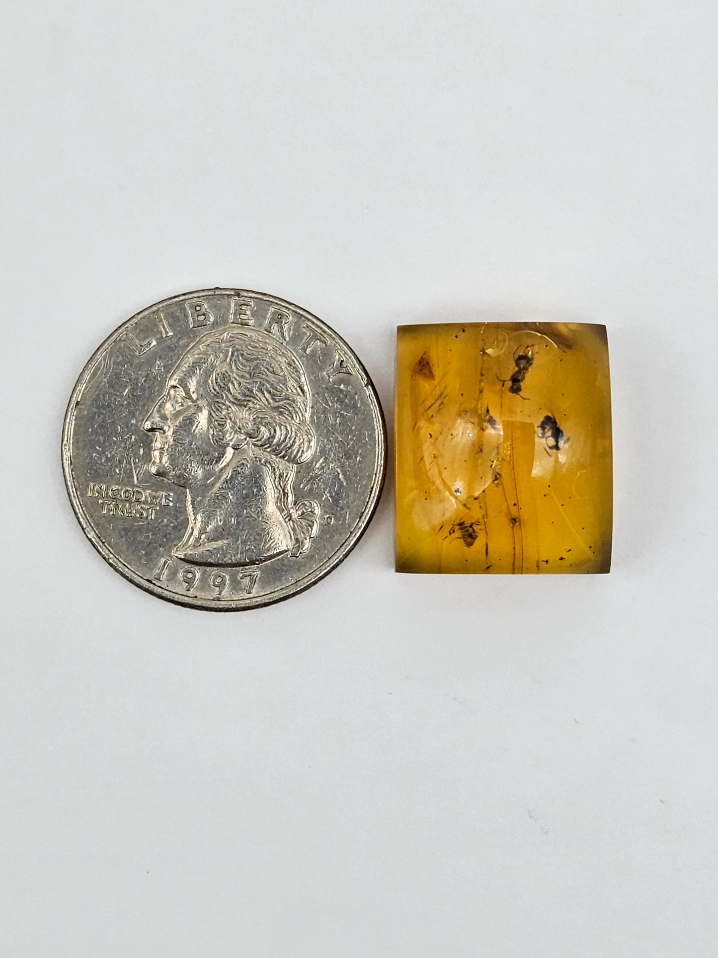 Amber Authentic Cabochon with Bug Inclusion