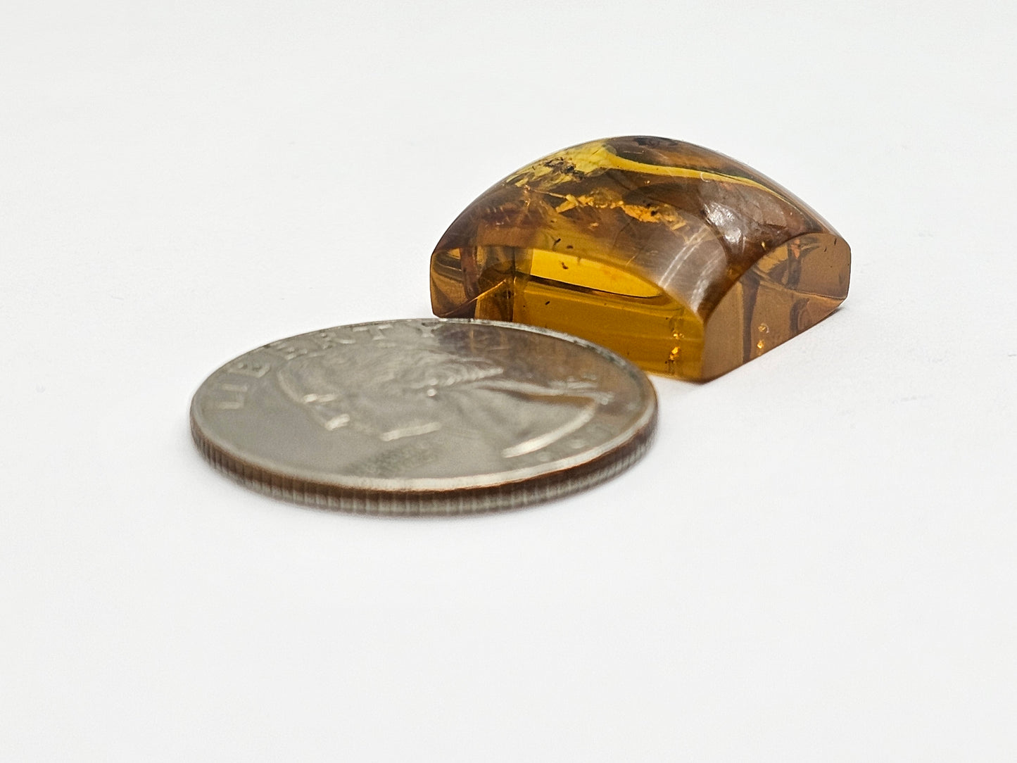 Amber Authentic Cabochon with Bug Inclusion