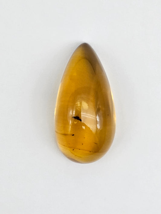 Amber Authentic Cabochon with Bug Inclusion