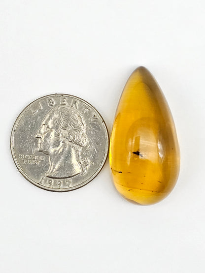 Amber Authentic Cabochon with Bug Inclusion