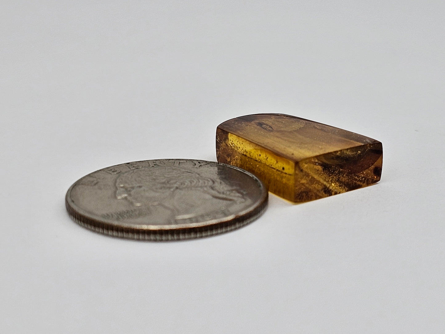 Amber Authentic Cabochon with Bug Inclusion