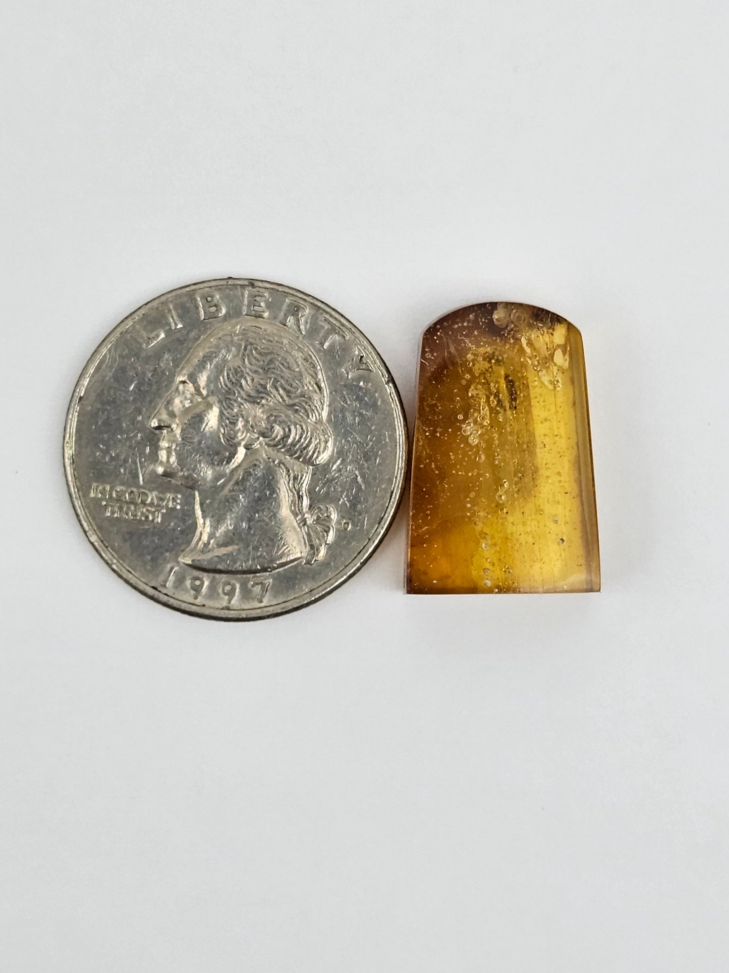 Amber Authentic Cabochon with Bug Inclusion