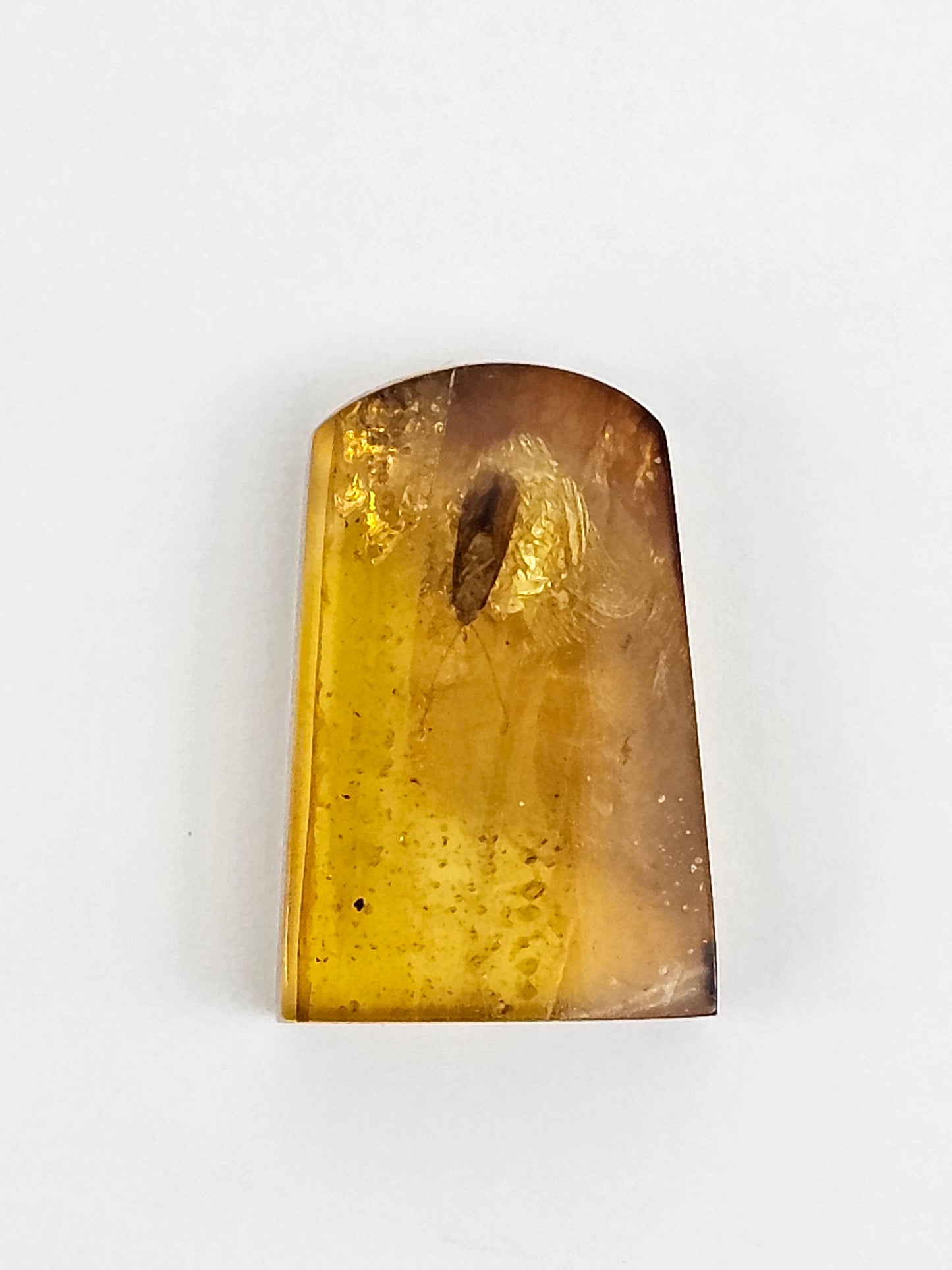 Amber Authentic Cabochon with Bug Inclusion