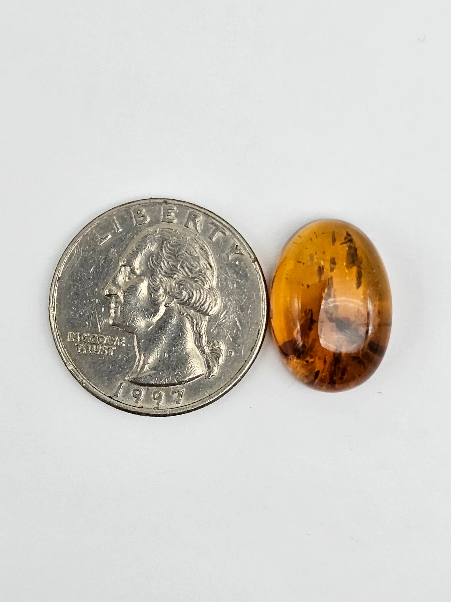 Amber Authentic Cabochon with Bug Inclusion