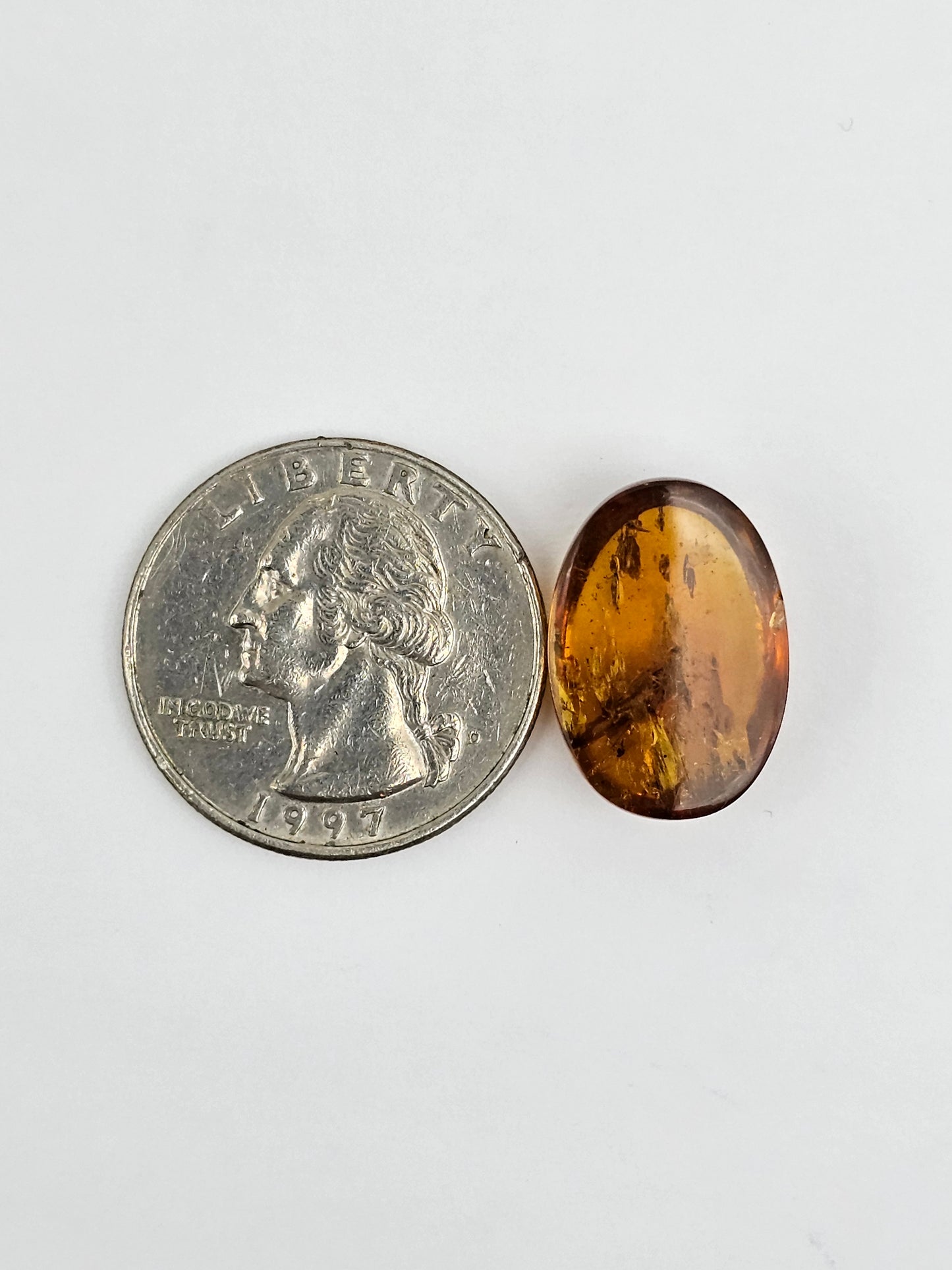 Amber Authentic Cabochon with Bug Inclusion