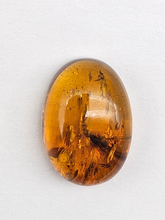 Amber Authentic Cabochon with Bug Inclusion