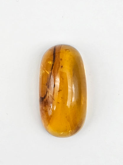 Amber Authentic Cabochon with Bug Inclusion