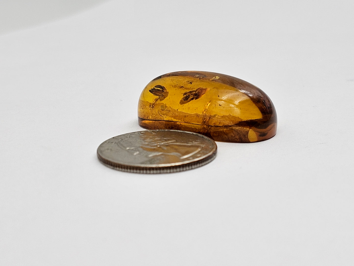 Amber Authentic Cabochon with Bug Inclusion