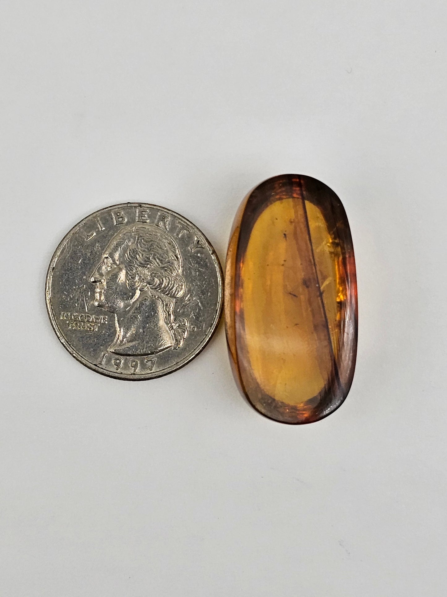 Amber Authentic Cabochon with Bug Inclusion