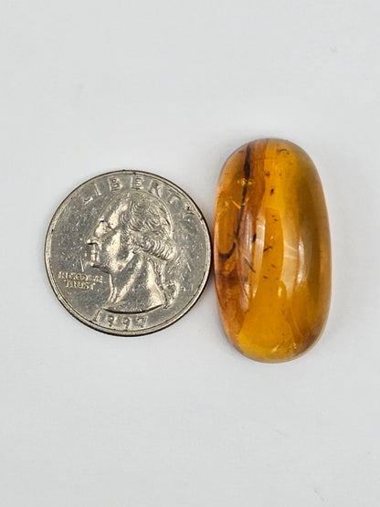 Amber Authentic Cabochon with Bug Inclusion