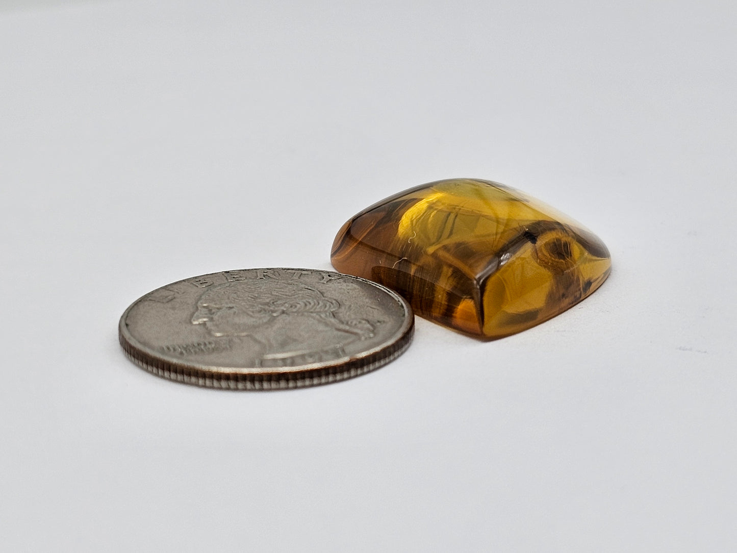 Amber Authentic Cabochon with Bug Inclusion