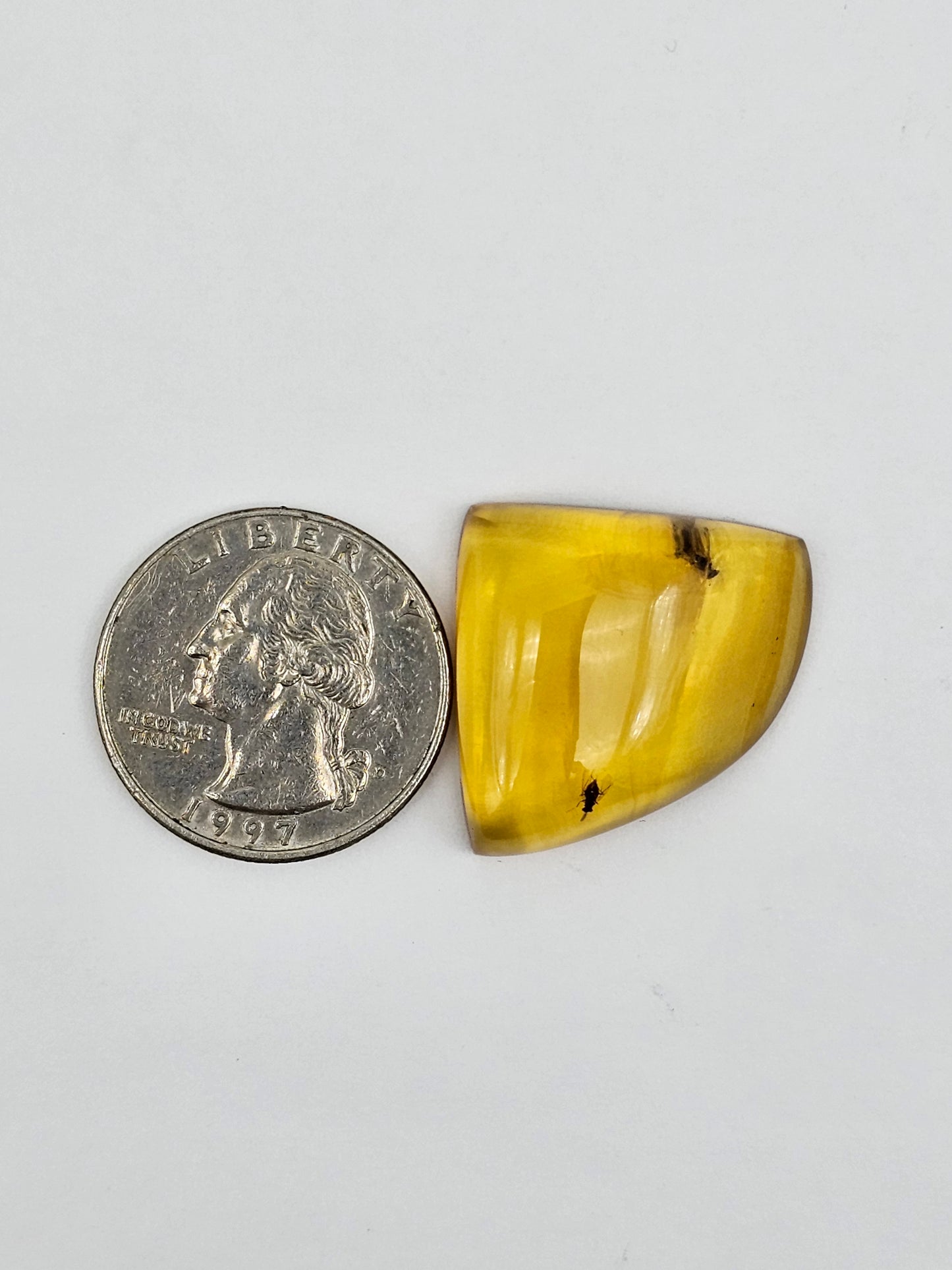 Amber Authentic Cabochon with Bug Inclusion