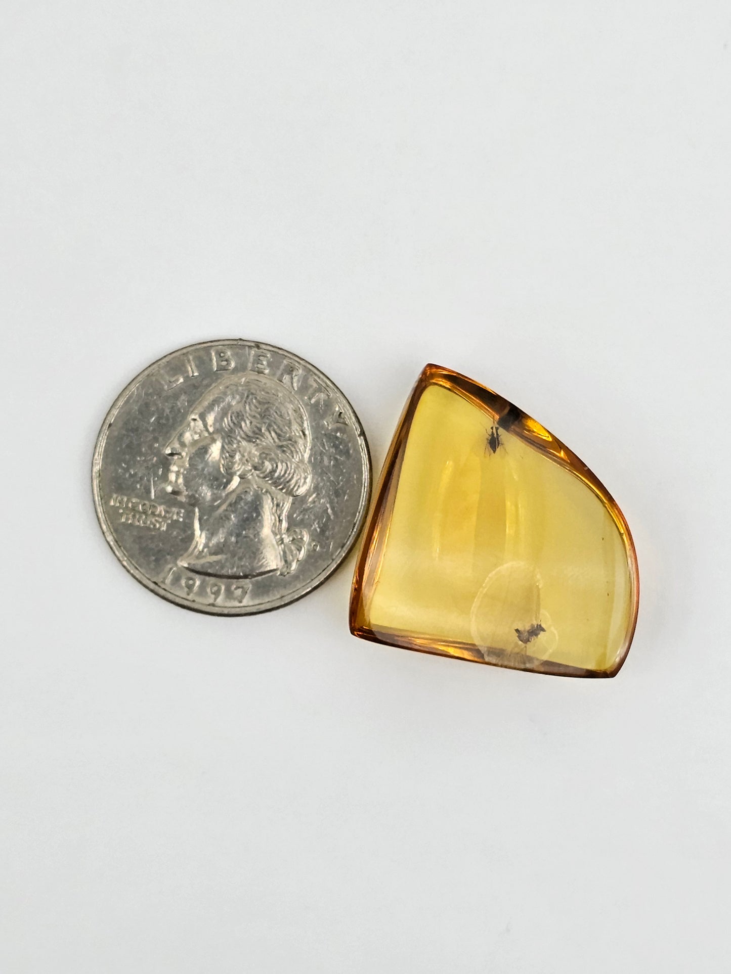 Amber Authentic Cabochon with Bug Inclusion