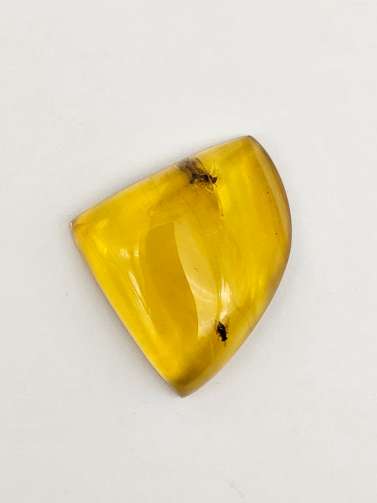 Amber Authentic Cabochon with Bug Inclusion