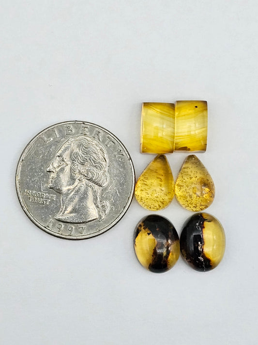 Amber authentic cabochon pair lot