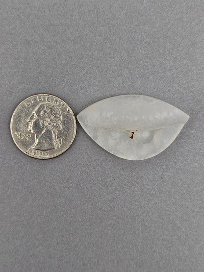 Botryoidal Chalcedony Agate Cabochon