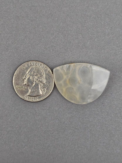 Botryoidal Chalcedony Agate Cabochon