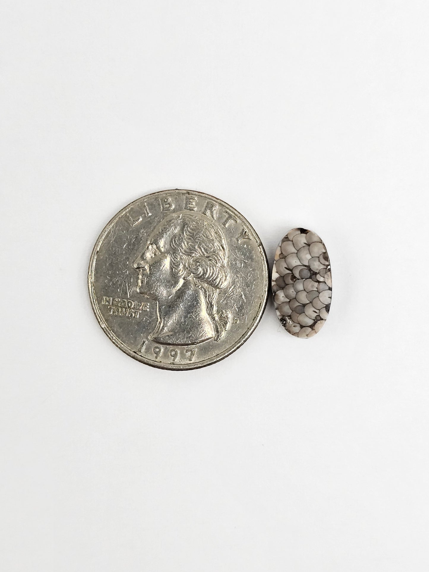 Snake skin agate cabochon