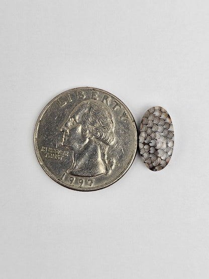 Snake skin agate cabochon