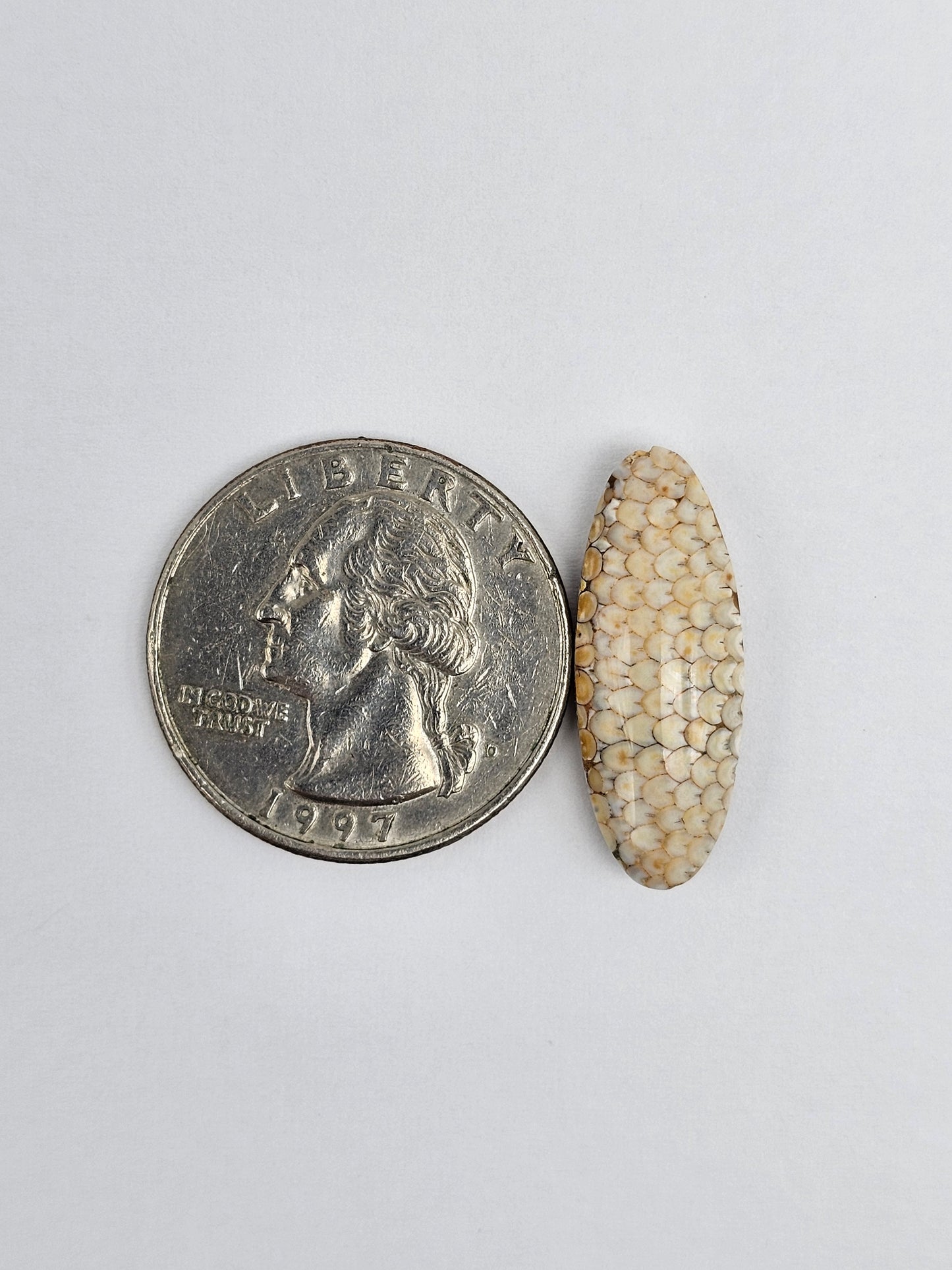 Snake skin agate cabochon