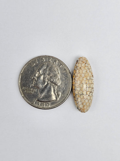 Snake skin agate cabochon