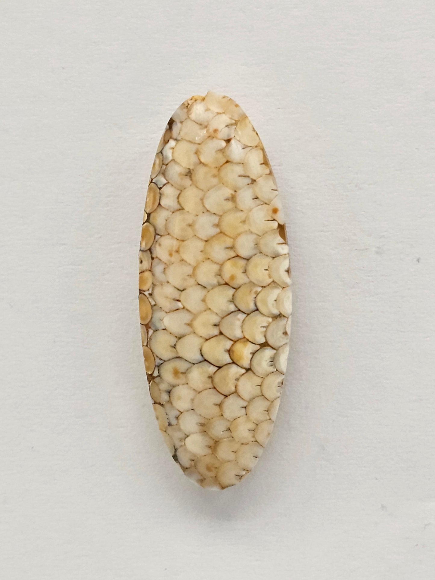 Snake skin agate cabochon