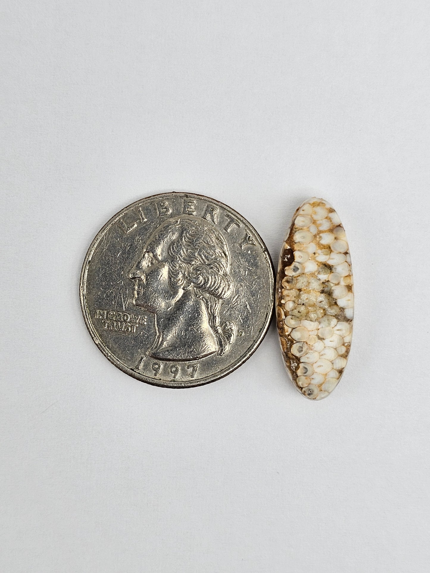 Snake skin agate cabochon