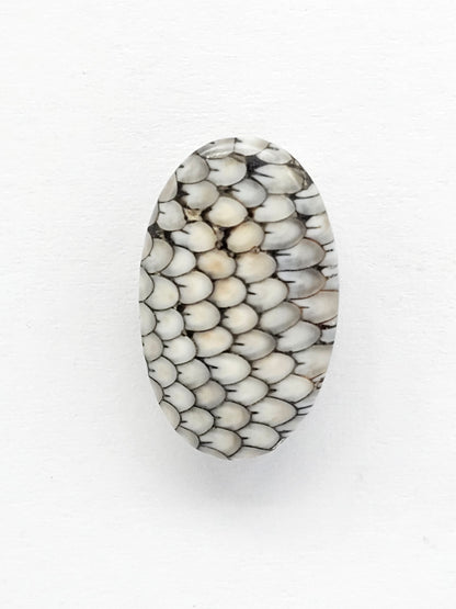 Snake skin agate cabochon