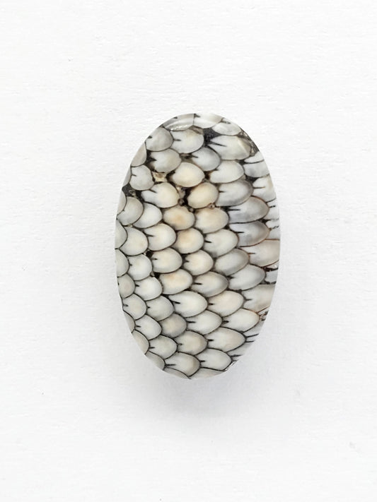 Snake skin agate cabochon