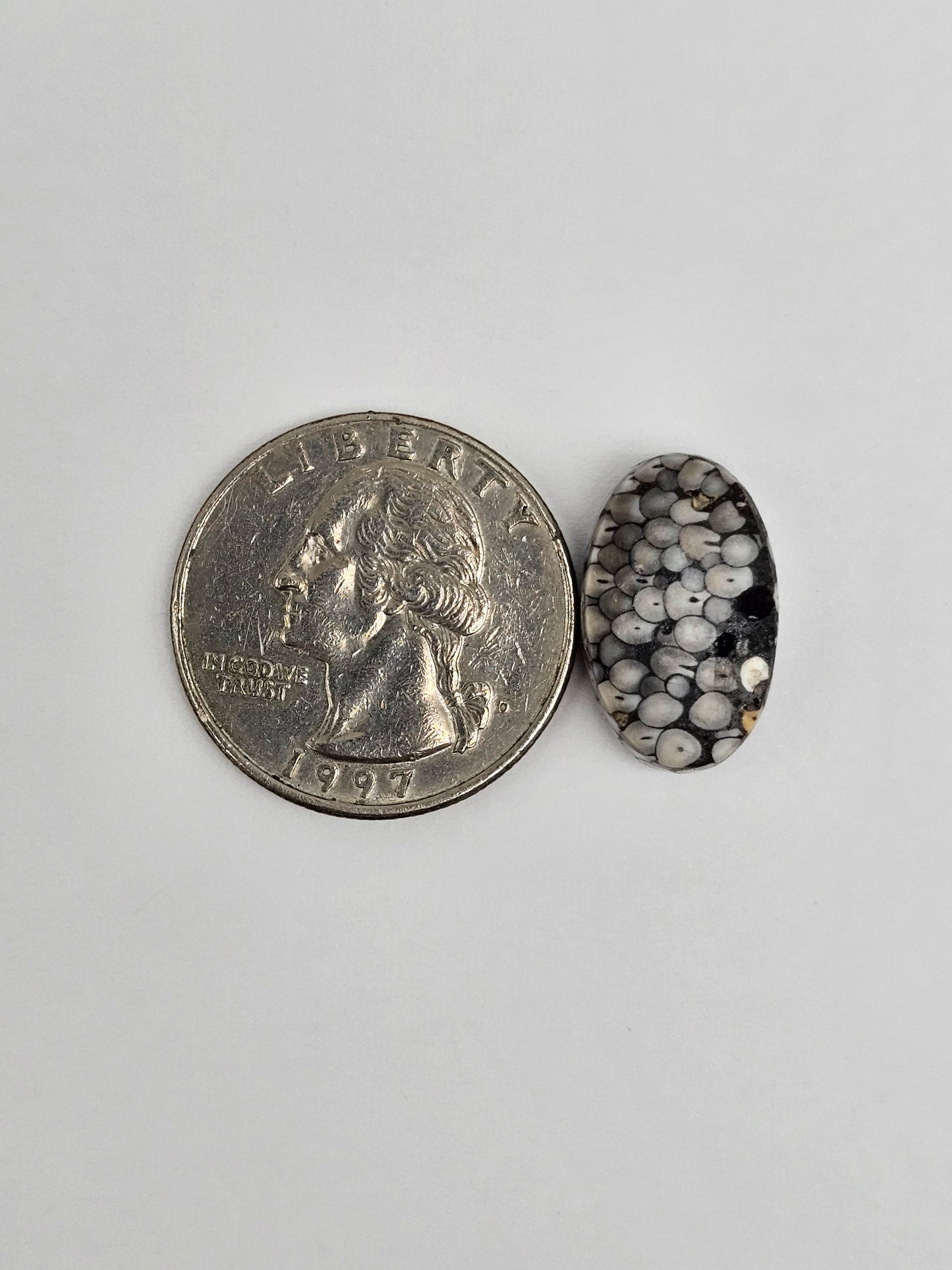 Snake skin agate cabochon