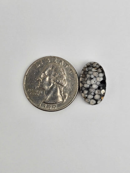 Snake skin agate cabochon