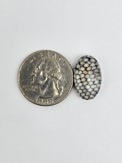 Snake skin agate cabochon