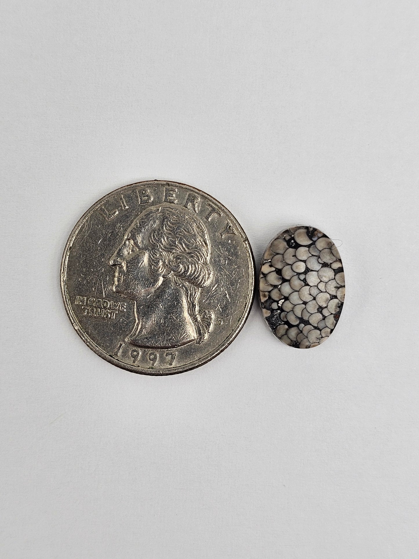 Snake skin agate cabochon